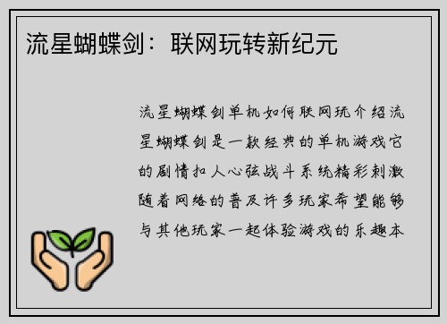 流星蝴蝶剑：联网玩转新纪元